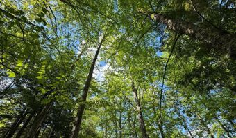 Peaked Hill Road, Bristol, NH 03222