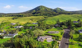 64-5313 PUUKAPU St, Kamuela, HI 96743