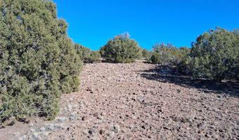 SW N8716, Concho, AZ 85924