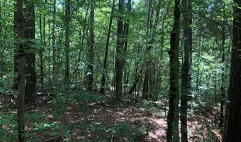 0 Dogwood Ln, Abbeville, SC 29620
