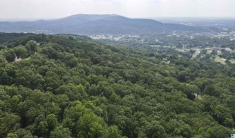 0 LANIER Pl 26.25 ac, Anniston, AL 36207