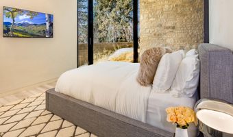 979 Red Mountain Rd, Aspen, CO 81611