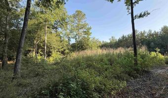 0 80 Acres-TBD Cantley Landing Rd, Andrews, SC 29510