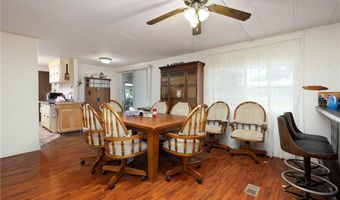 411 Palmetto Palm St, Alamo, TX 78516