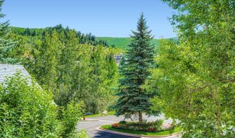 1120 Village Rd 204, Beaver Creek, CO 81620