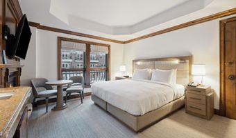 415 E Dean St. Unit 10 Week 30, Aspen, CO 81611