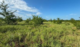 Tract 2 Highway 70 Acres, Bennington, OK 74723