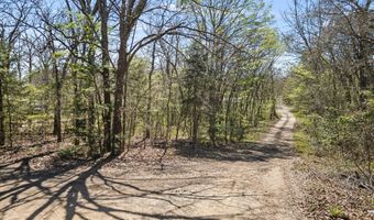County Road 1687, Alba, TX 75410