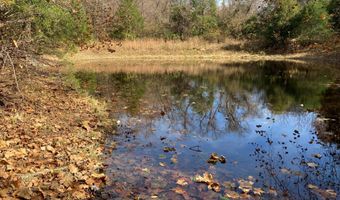 6312 County Road W76-436, Ava, MO 65608