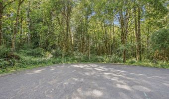 E BRIGHTWOOD LOOP Rd, Brightwood, OR 97011
