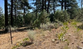 002 Ash Vly, Adin, CA 96006