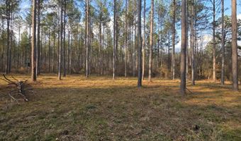 U.S. Highway 51, Bogue Chitto, MS 39629