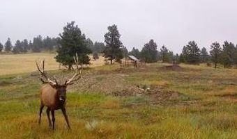 Tbd W Parrott Creek, Roundup, MT 59072