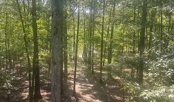 1196 Ranchland Rd, Belden, MS 38826