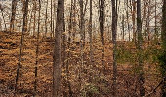 002 Blue Heron Cv, Abbeville, SC 29620