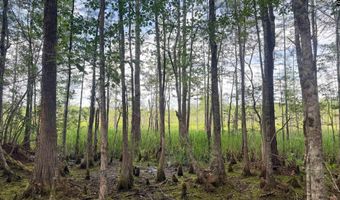 Goldenrod Drive, Barnwell, SC 29812