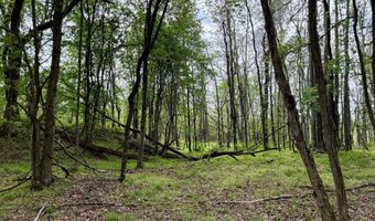 1271 A Tunnel Ridge Rd, Argillite, KY 41121