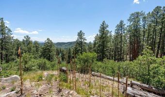 220 Hilltop Dr, Bayfield, CO 81122