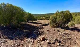 Kirkland DR 20 Acres, Concho, AZ 85924