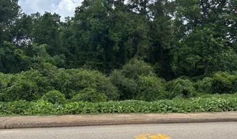 0 Creel Richardson Road Formerly College St, Ariton, AL 36311