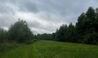 10664 Burton's Ferry Rd, Allendale, SC 29810