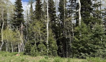695 W Hunter Ridge Rd, Brian Head, UT 84719