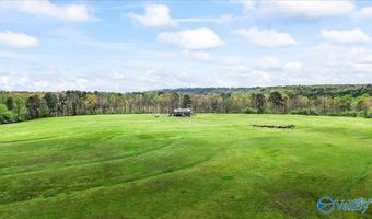 435 Sneadview Rd, Altoona, AL 35952