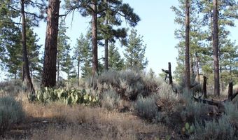 030 Butterfly Peak Rd, Mountain Center, CA 92561