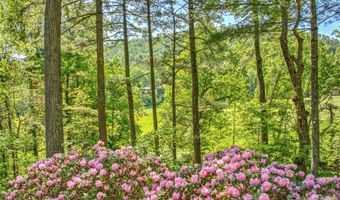 200 Robinhood Rd, Asheville, NC 28804
