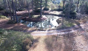 35 Ramblewood Dr, Andrews, SC 29510