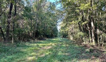 NE Williams Street, Brookhaven, MS 39601