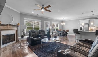 10211 Stellata Ln, Apison, TN 37302
