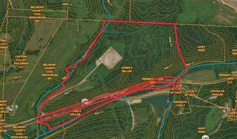 0 W Captina Highway Rd, Alledonia, OH 43902