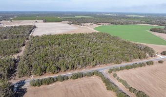 4700 County Road 340, Bell, FL 32619