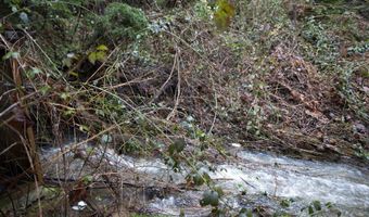 6228 UPPER COW CREEK Rd, Azalea, OR 97410