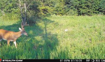 1271 A Tunnel Ridge Rd, Argillite, KY 41121