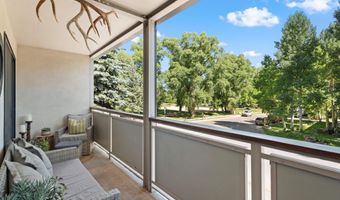 100 E Dean St 2D, Aspen, CO 81611