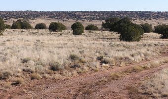 9 N9131, Concho, AZ 85924