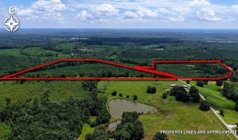 County Road 53, Banks, AL 36005
