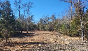 NW Tommy Tucker Road lot 1, Altha, FL 32421