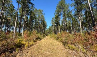 TBD Binnicker Bridge Road, Bamberg, SC 29003