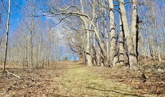 Crescent Hill Lane, Andes, NY 13731