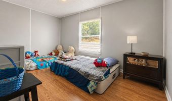 145 Rogers Ln, Birchwood, TN 37308