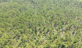21947 NW Isoletta Rd, Altha, FL 32421