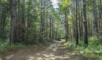 0 Hwy 14, Aliceville, AL 35442