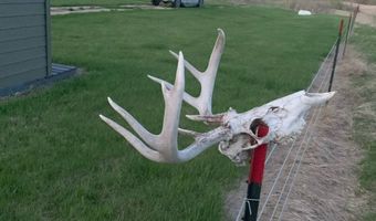S1/2 SW1/4 8-162-74 & NW1/4 SW1/4 8-162-74, Bottineau, ND 58318