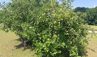 210 W Rd, Angier, NC 27501