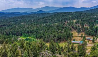 19 E Pine Dr, Bailey, CO 80421