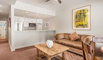 645 Willoughby Way, Aspen, CO 81611