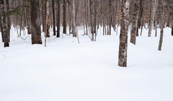 Markham Mountain Road, Andover, VT 05143